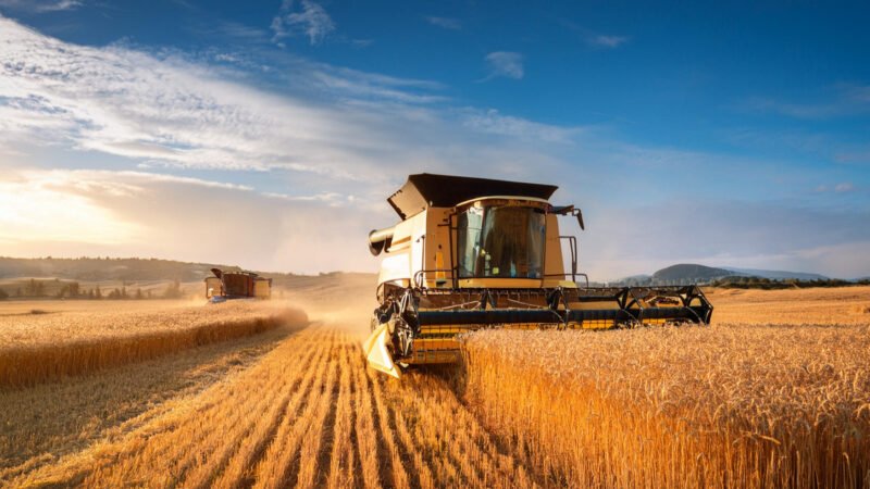 Artigo_-_Agro_Site