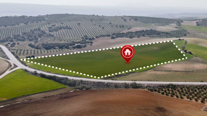 News_-_Georeferenciamento_Site